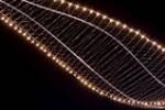 Новые коллекции от Quasar