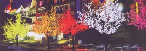 В салоне света MODUL появились новинки из коллекции фабрики Eco Light